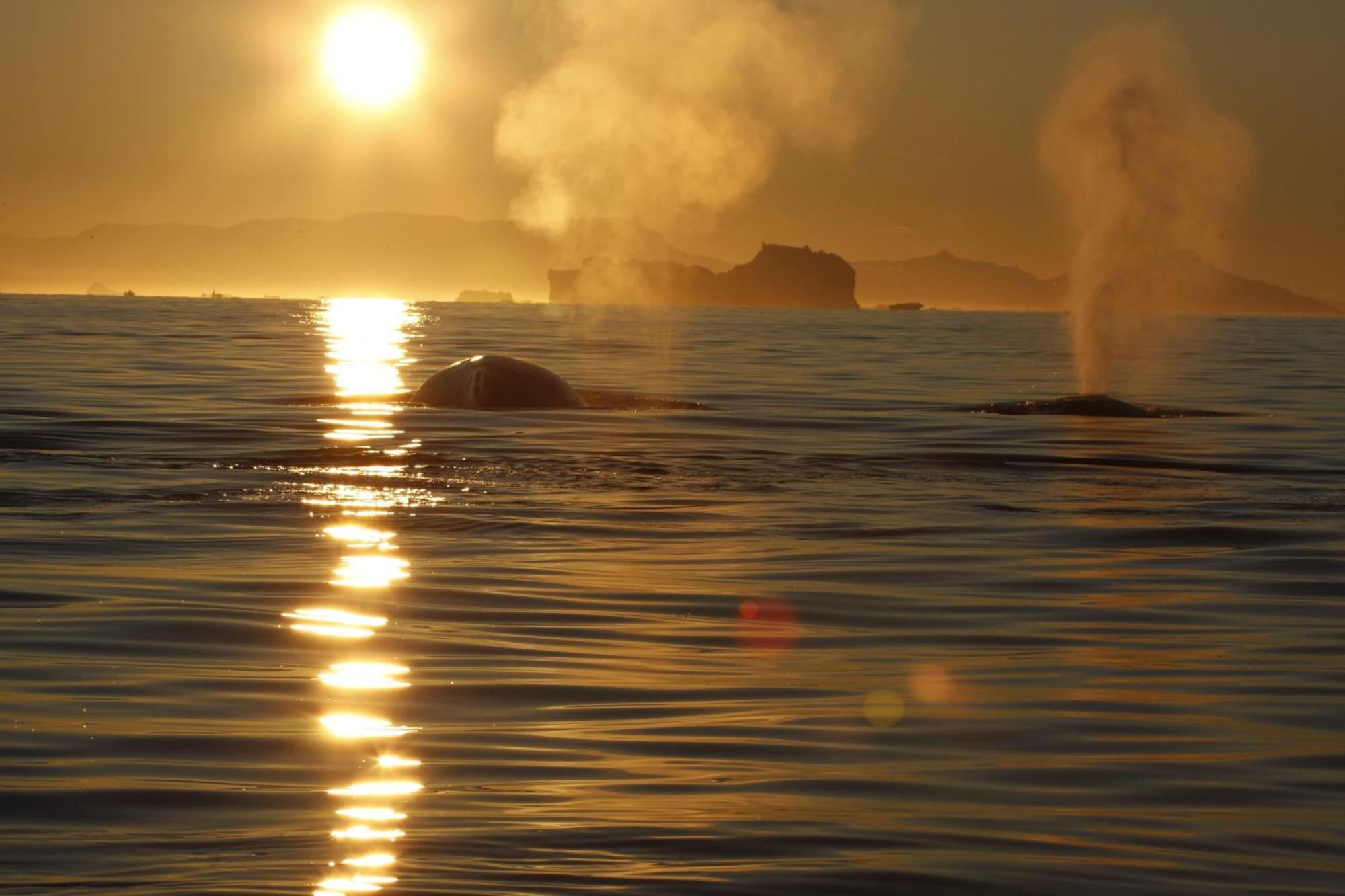 Hotel Icefiord Ilulissat Kültér fotó