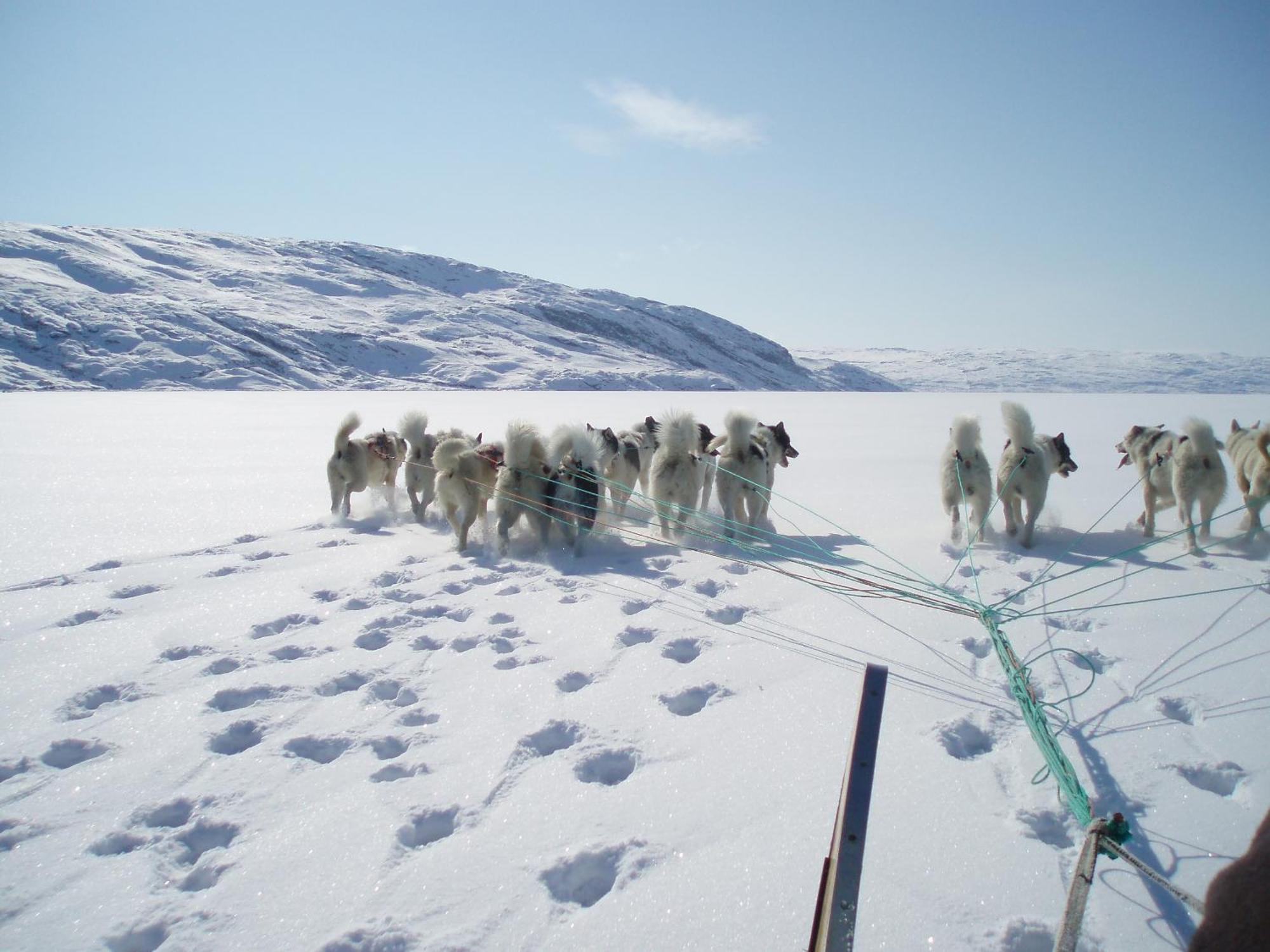 Hotel Icefiord Ilulissat Kültér fotó